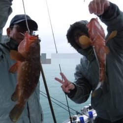 遊漁船 幸友丸 釣果