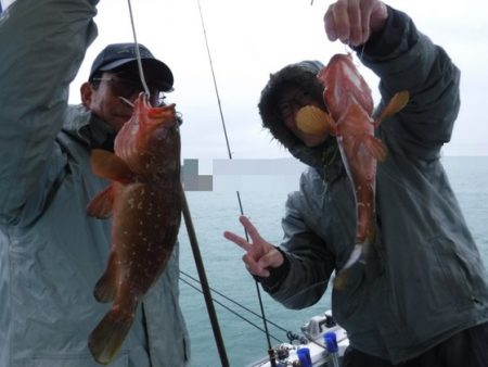 遊漁船 幸友丸 釣果