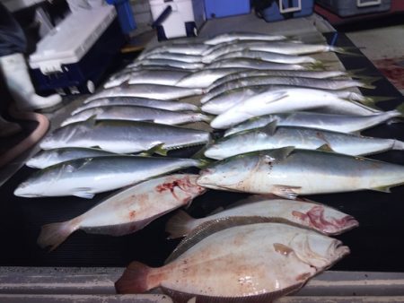 幸風（さちかぜ） 釣果