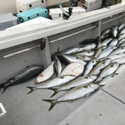 寿裕 （YOSHIHIRO） 釣果