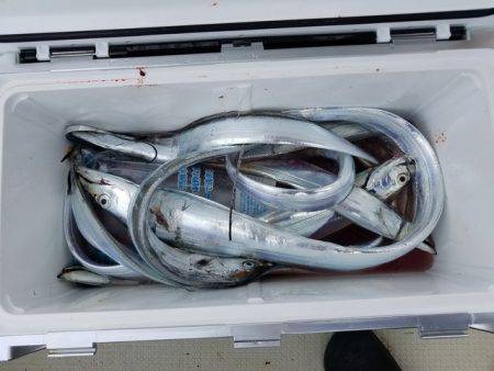 遊漁船　ニライカナイ 釣果