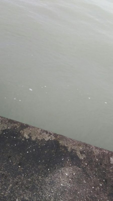 台風後のいい記憶は残念ながら