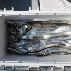 遊漁船 幸友丸 釣果