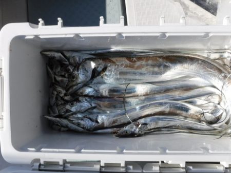 遊漁船 幸友丸 釣果