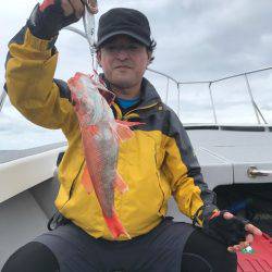 へいみつ丸 釣果