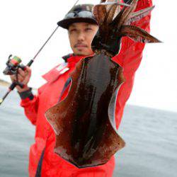 Marine T Design マリンティーデザイン 釣果