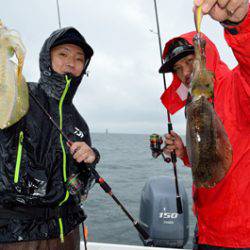 Marine T Design マリンティーデザイン 釣果