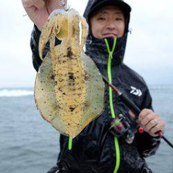 Marine T Design マリンティーデザイン 釣果