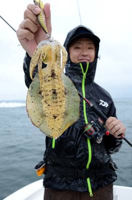 Marine T Design マリンティーデザイン 釣果