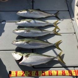 遊漁船高橋 釣果