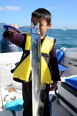 Marine T Design　マリンティ…