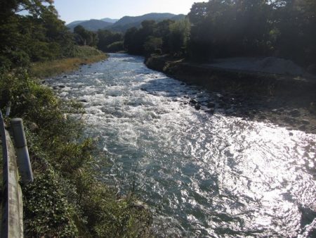 狩野川(狩野川漁業協同組合) 釣果