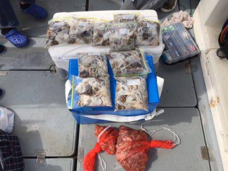 遊漁船高橋 釣果