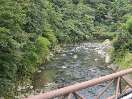 狩野川(狩野川漁業協同組合) 釣果