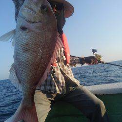 遊漁船 新鋭丸 釣果