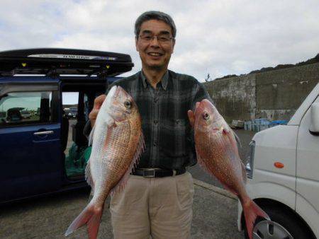 大進丸(新潟) 釣果