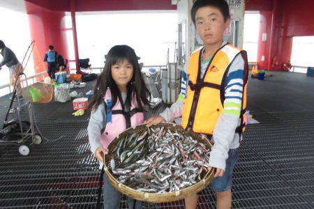 尼崎市立魚つり公園 釣果