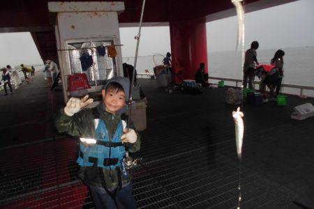 尼崎市立魚つり公園 釣果