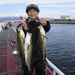 尼崎市立魚つり公園 釣果