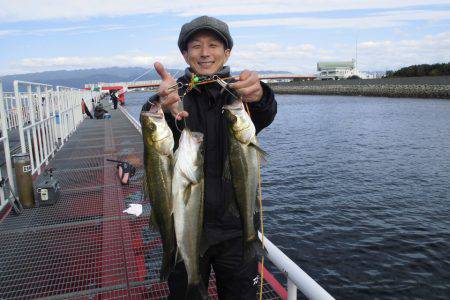 尼崎市立魚つり公園 釣果