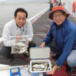 尼崎市立魚つり公園 釣果