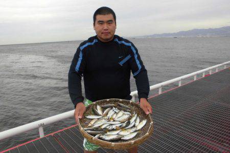 尼崎市立魚つり公園 釣果