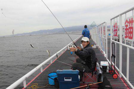 尼崎市立魚つり公園 釣果