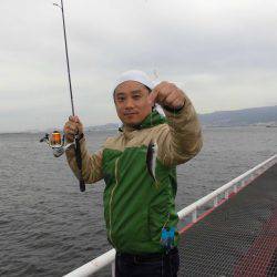 尼崎市立魚つり公園 釣果