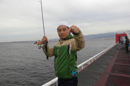 尼崎市立魚つり公園 釣果