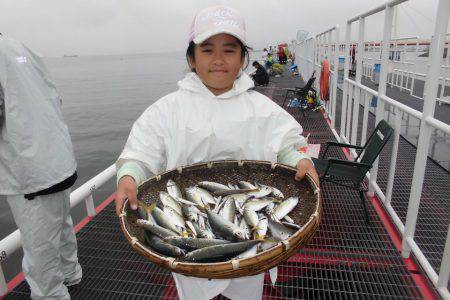 尼崎市立魚つり公園 釣果