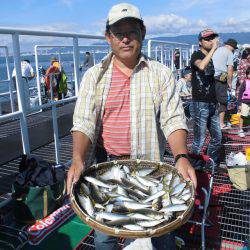 尼崎市立魚つり公園 釣果