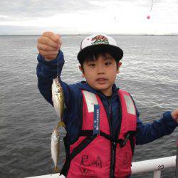 尼崎市立魚つり公園 釣果