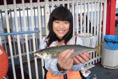 尼崎市立魚つり公園 釣果