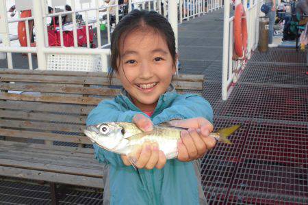 尼崎市立魚つり公園 釣果