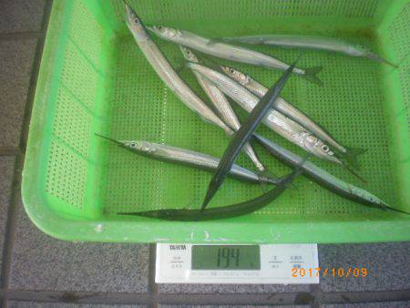 姫路市立遊魚センター 釣果