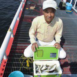 尼崎市立魚つり公園 釣果