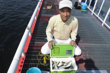 尼崎市立魚つり公園 釣果