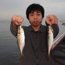 尼崎市立魚つり公園 釣果