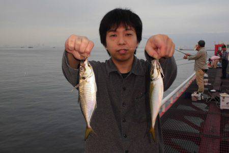 尼崎市立魚つり公園 釣果