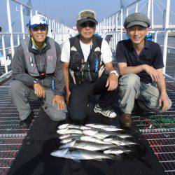 尼崎市立魚つり公園 釣果