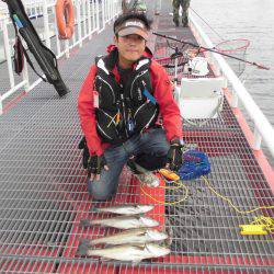 尼崎市立魚つり公園 釣果