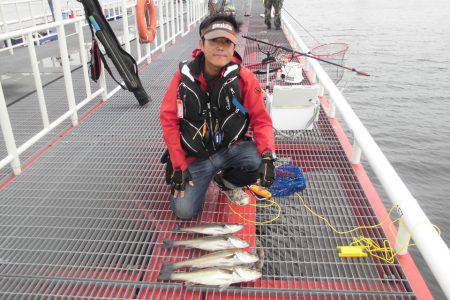 尼崎市立魚つり公園 釣果