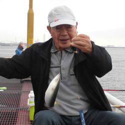 尼崎市立魚つり公園 釣果