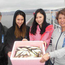 尼崎市立魚つり公園 釣果