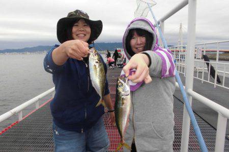 尼崎市立魚つり公園 釣果