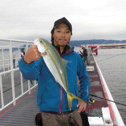 尼崎市立魚つり公園 釣果