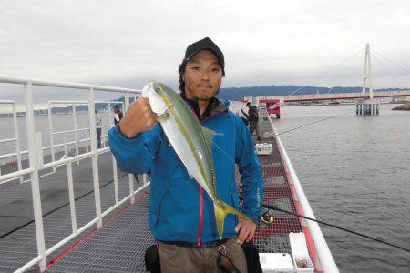 尼崎市立魚つり公園 釣果