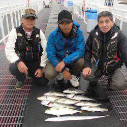 尼崎市立魚つり公園 釣果