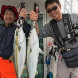 シーマジカル 釣果