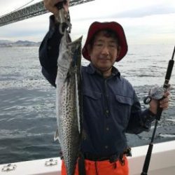 シーマジカル 釣果